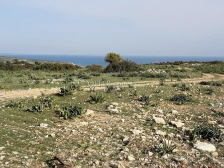 Field for sale in Pissouri, Limassol - 2