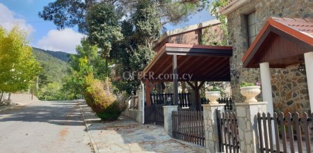 2 Bed Maisonette for rent in Pano Platres, Limassol - 9
