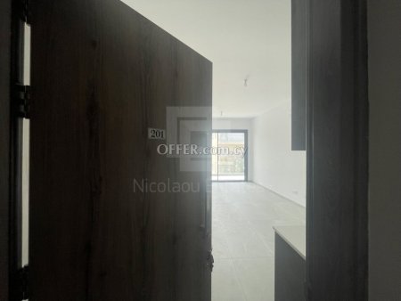 One Bedroom Apartments for Rent near to University of Cyprus in Aglantzia Nicosia - 8