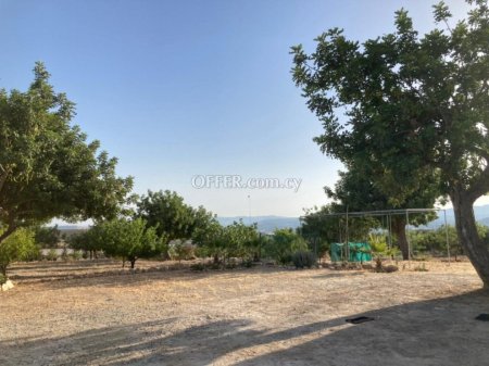 Field for sale in Prastio Avdimou, Limassol - 8