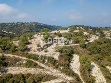 Residential Land  For Sale in Koili, Paphos - DP4035 - 5