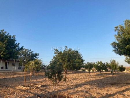 Field for sale in Prastio Avdimou, Limassol - 7