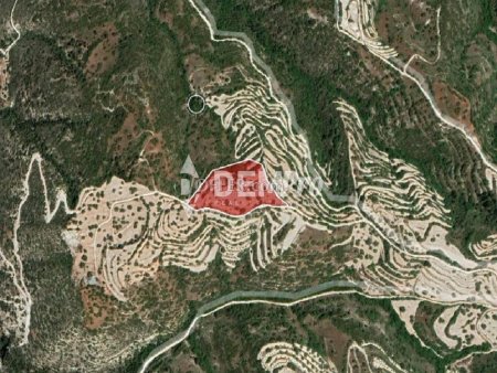 Residential Land  For Sale in Koili, Paphos - DP4035 - 4