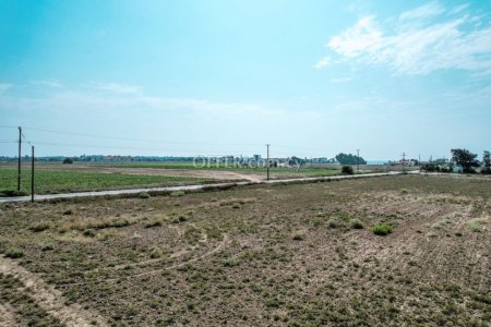 Field for Sale in Pervolia, Larnaca - 4