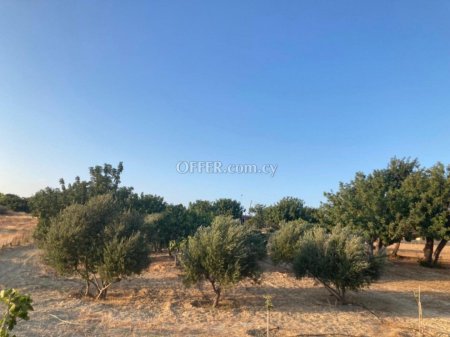 Field for sale in Prastio Avdimou, Limassol - 6