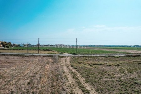 Field for Sale in Pervolia, Larnaca - 3