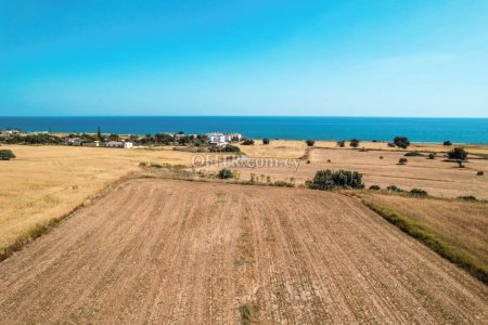 Field for Sale in Agios Theodoros Larnakas, Larnaca - 5