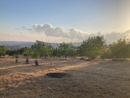 Field for sale in Prastio Avdimou, Limassol - 5