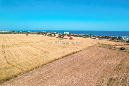 Field for Sale in Agios Theodoros Larnakas, Larnaca - 4