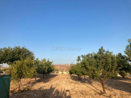 Field for sale in Prastio Avdimou, Limassol - 4