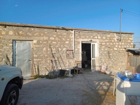 Field for sale in Nata, Paphos - 7