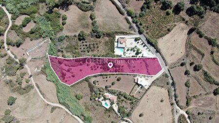 Field for sale in Drousia, Paphos - 4