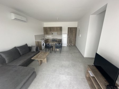 One Bedroom Apartment for Rent next to European University in Nicosia - 9