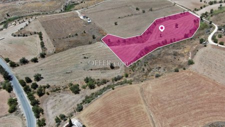 Field for sale in Anarita, Paphos - 2