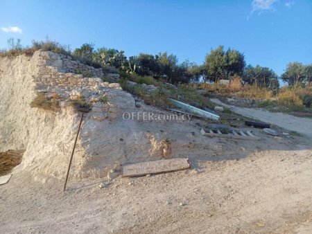 Field for sale in Nata, Paphos - 4