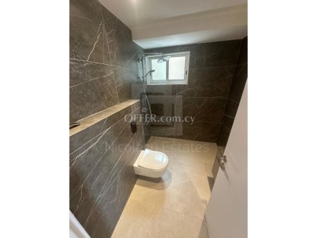Fully Renovated Four Bedroom Floor Apartment for Sale in Engomi Nicosia - 7