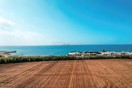 Field for Sale in Dekelia, Larnaca - 6