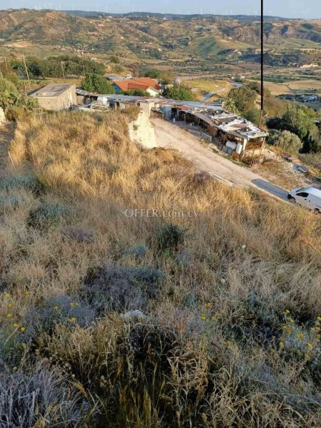 Field for sale in Nata, Paphos - 3