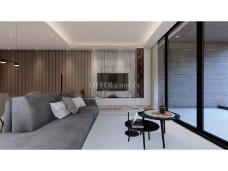 New modern two bedroom penthouse at Latsia area near Ginger pool - 6