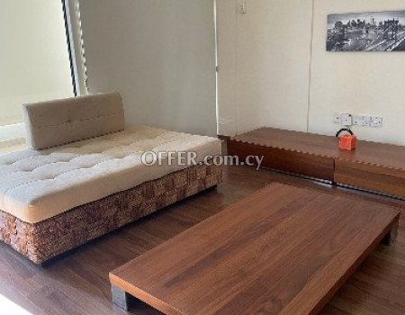 2-bedroom furnished apartment to rent - 4