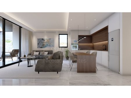 New modern two bedroom penthouse at Latsia area near Ginger pool - 5