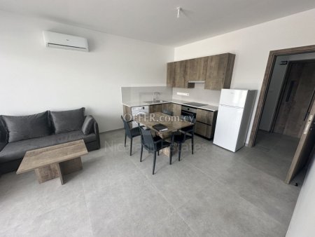 One Bedroom Apartment for Rent next to European University in Nicosia - 4