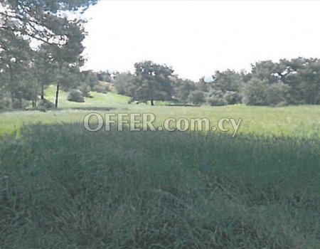 LARGE RESIDENTIAL LAND IN SIA VILLAGE FOR SALE