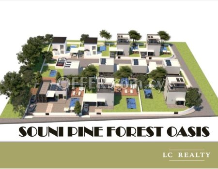 2 Bedroom House №1 in Souni Pine Forest Oasis