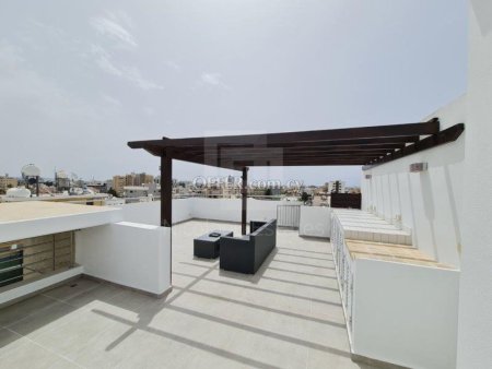 Amazing apartment with private roof garden and panoramic views in Mesa Gitonia near Ajax hotel - 8