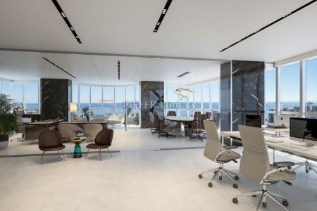 Luxury Office For Sale - 4