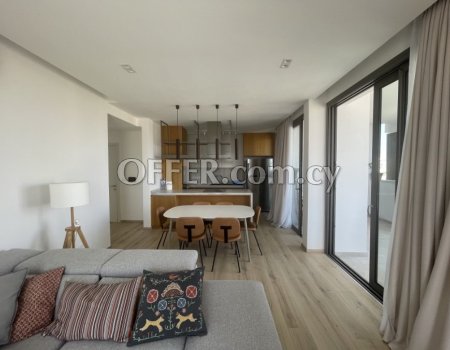 Luxury 2 Bedroom apartment in Acropolis, Nicosia - 8