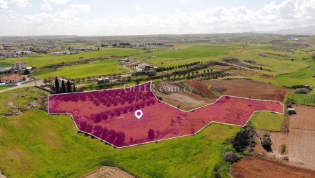 Agricultural field in Palaiometocho Nicosia.