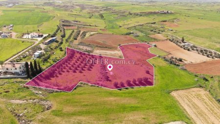 Agricultural field in Palaiometocho Nicosia. - 3