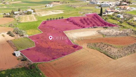 Agricultural field in Palaiometocho Nicosia. - 2