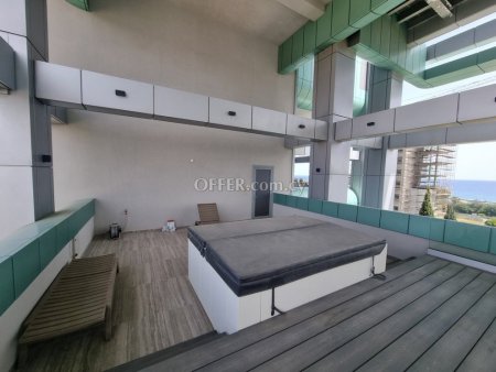 Apartment (Penthouse) in Moutagiaka Tourist Area, Limassol for Sale - 3