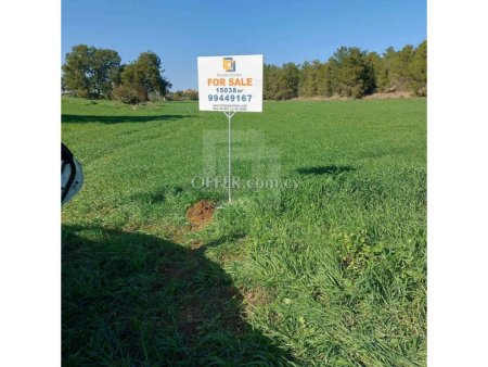 Large Agricultural Land for Sale in Sia Nicosia