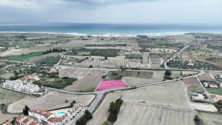 Field for Sale in Mazotos, Larnaca