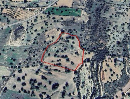 Agricultural Field for sale in Anogyra, Limassol - 2
