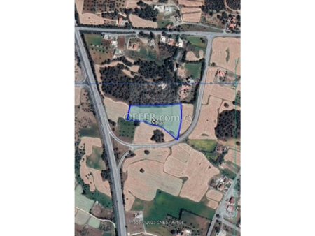 Large Agricultural Land for Sale in Sia Nicosia - 4