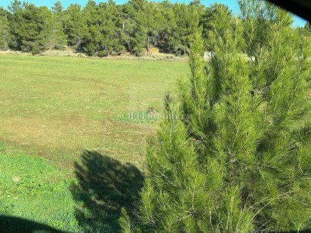Large Agricultural Land for Sale in Sia Nicosia - 3