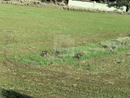 Large Agricultural Land for Sale in Sia Nicosia - 2