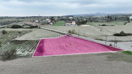 Field for Sale in Mazotos, Larnaca - 4