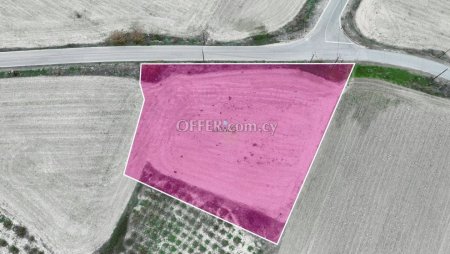 Field for Sale in Mazotos, Larnaca - 2