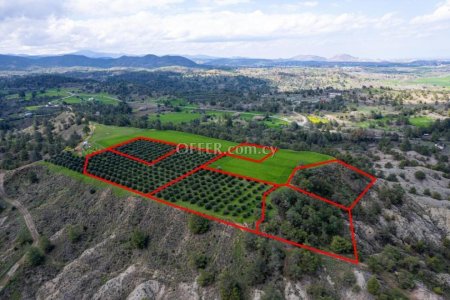 Six adjacent fields in Politiko Nicosia