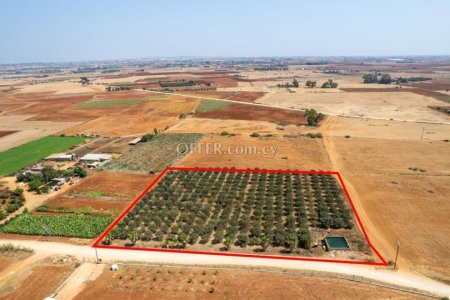 Agricultural field in Avgorou Famagusta