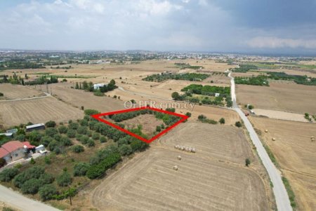 Residential field in Pera Nicosia - 4