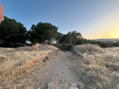 Development Land for sale in Pissouri, Limassol - 8