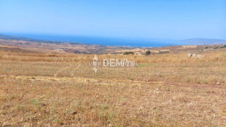Agricultural Land For Sale in Droushia, Paphos - DP4159 - 2