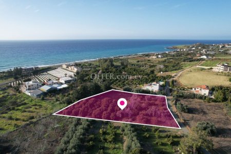 Residential field Agia Marina Chrysochou Paphos