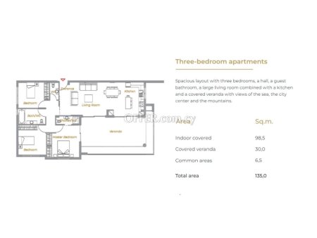 Brand new luxury 3 bedroom apartment in the Dasoudi area Potamos Germasogias